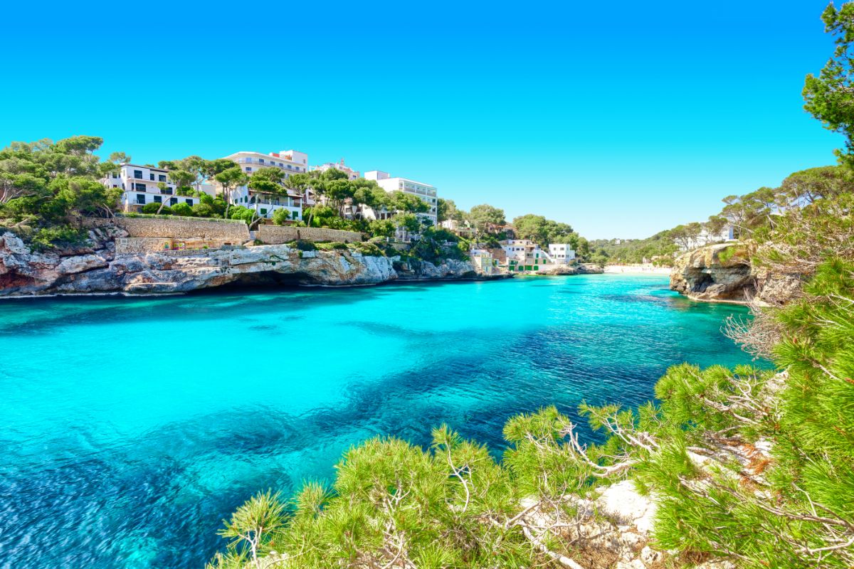 How much does it cost to rent a catamaran in Majorca ?
